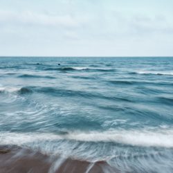 27-3rd-NATURE-Yingya Liu