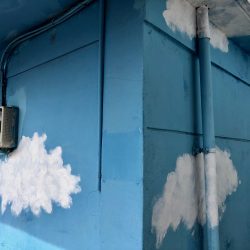 31-1st-OTHER-Sari Sutton