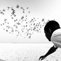 44-2nd-SERIES-Dimpy Bhalotia-1