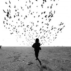 44-2nd-SERIES-Dimpy Bhalotia-2