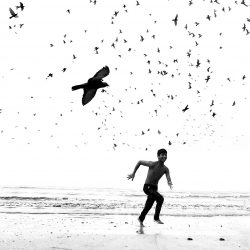 44-2nd-SERIES-Dimpy Bhalotia-3