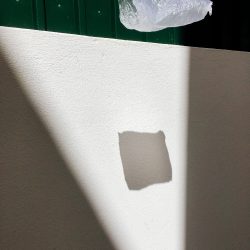 46-1st-STILL-LIFE-Clarita Phiri Beierdoerffer