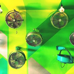 47-2nd-STILL-LIFE-Daniel Kafalas