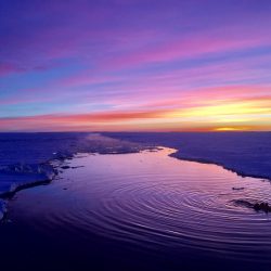 50-2nd-SUNSET-Shirley Xu