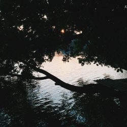 Processed with VSCO with c8 preset Processed with VSCO with hb2 preset