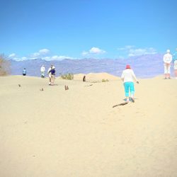 53-2nd-TRAVEL-James Cowlin