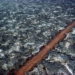 La planète affolée