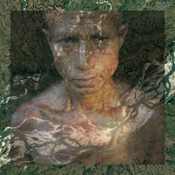 ©Zishaan_LATIF_Withering1