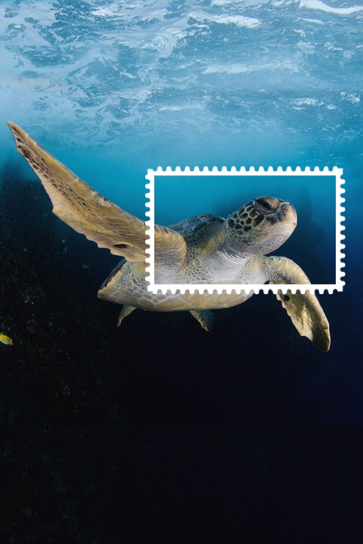 f4b30f763bee2ea01bdaf2d30eb0112e