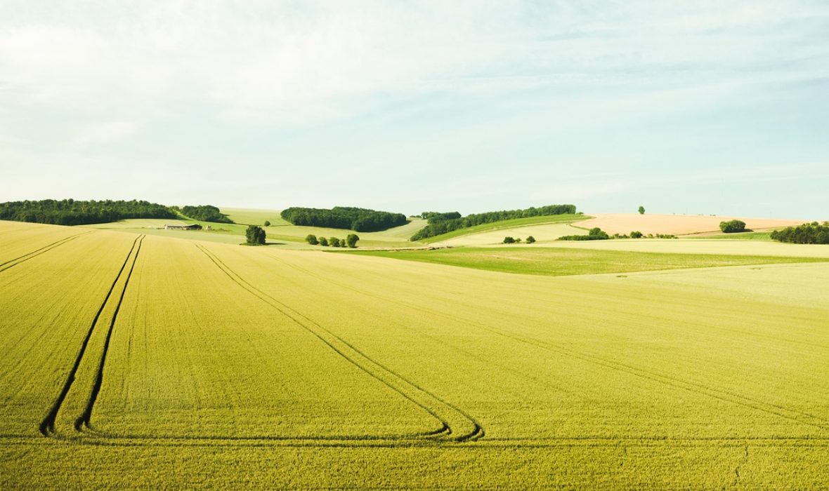 thumbnail_BD©Frédéric Bellay A peine le temps Courtesy Galerie Le Réverbère