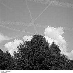 thumbnail_BD©Pierre Canaguier Simple Jeu Courtesy Galerie Le Réverbère