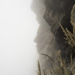 credit Andres DONADIO-mediatheque sagan-du 511 au 1512