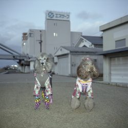 credit sylvain Biard au point ephemere
