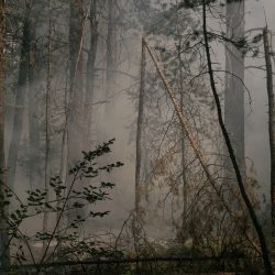 6 © Nanna Heitmann_Hiding from Baba Yaga