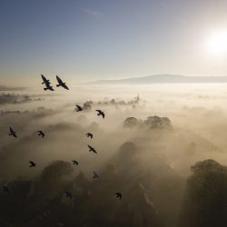 British-Wildlife-Photography-Awards-habitat-winner-by-Rich-Bunce