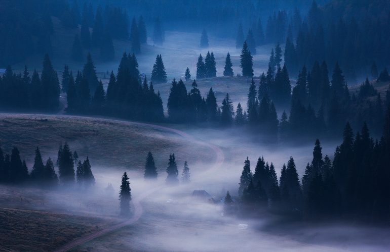 RO-RO-Landscapes-518114