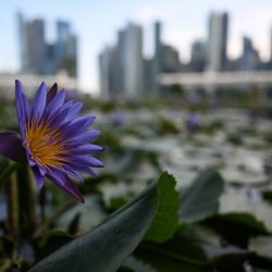 nikon-nikkor-z-24mm-f1_8-s-exemple-image-02-1000px