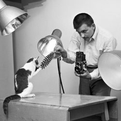 walter-chandoha-cats-photography-taschen-1