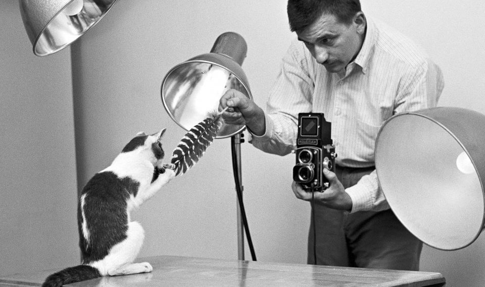 walter-chandoha-cats-photography-taschen-1