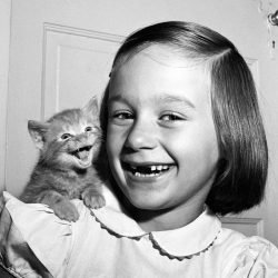 walter-chandoha-cats-photography-taschen-3