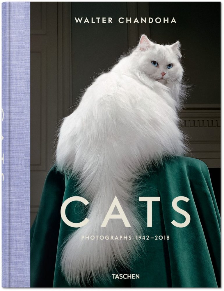 walter-chandoha-cats-photography-taschen-9