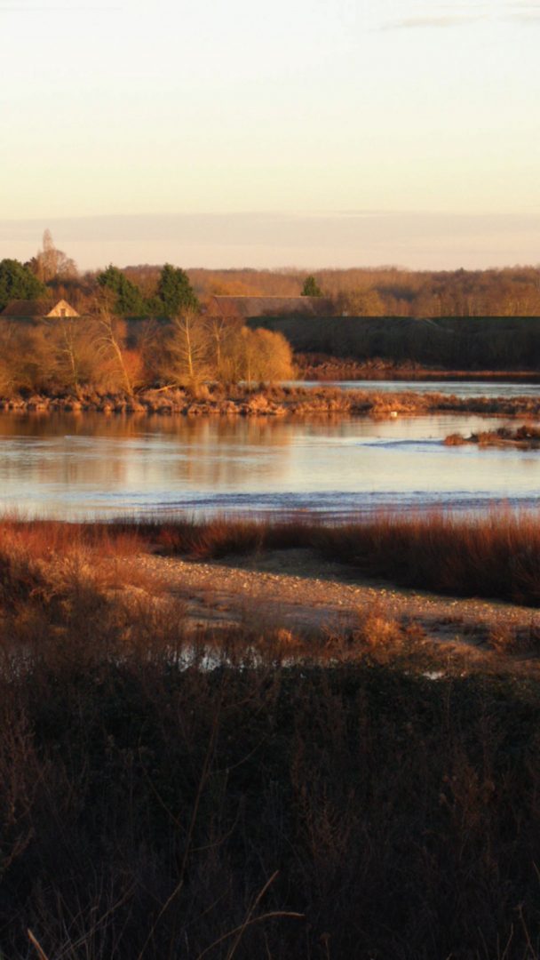 Loire East Extract.pct