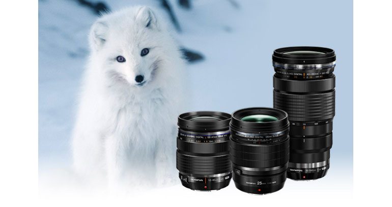 offre-olympus-hiver-2019-5