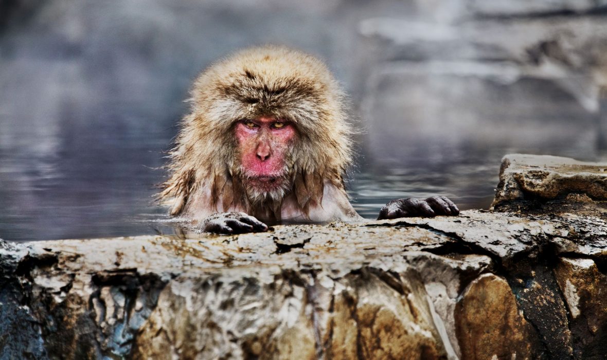 9267004c430a854c00455daf8cb4ff79f81ebcf5_2200