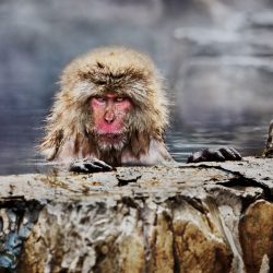 9267004c430a854c00455daf8cb4ff79f81ebcf5_2200