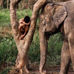 dc83beedc960fd4b4eec082dc03bff110c3b5fb8_2200