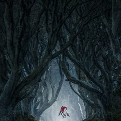 red-bull-illume-image-quest-2019-masterpiece-lorenz-holder-01-1000px