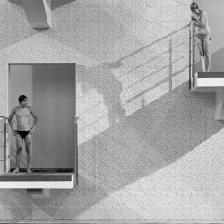 sipa-photo-contest-2019-10