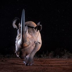 sipa-photo-contest-2019-2