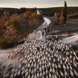 sipa-photo-contest-2019-4