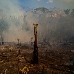 6-sebastian-liste-amazon-fires-top-100-photos-2019