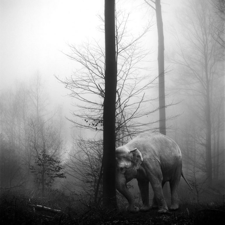 all-about-photo-awards-2019-frank-machalowski-01-1000px