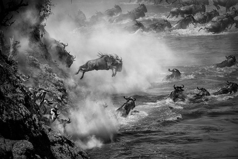 all-about-photo-awards-2019-nando-morales-01-1000px