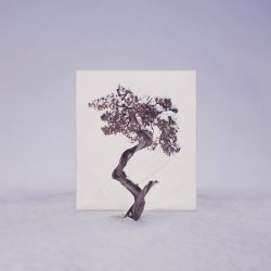 ignant-art-myoung-ho-lee-tree-15-720x916