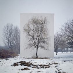 ignant-art-myoung-ho-lee-tree-5-720x900