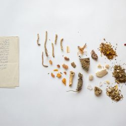 3.REMLI_Bithal_Clean your body and mind