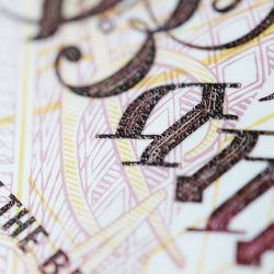 Laowa-65-mm-f28-2X-macro-APO-10-jpg