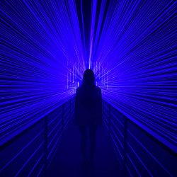 apple-shot-on-iphone-2020-eric-zhang-01-1000px