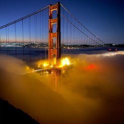 apple-shot-on-iphone-2020-jude-allen-01-1000px