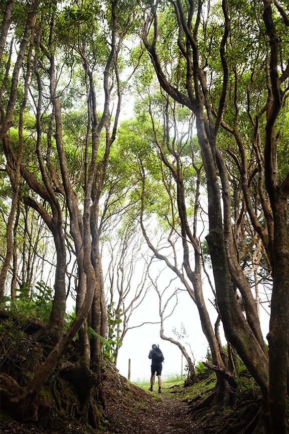 julia_laffaille_acores_2019