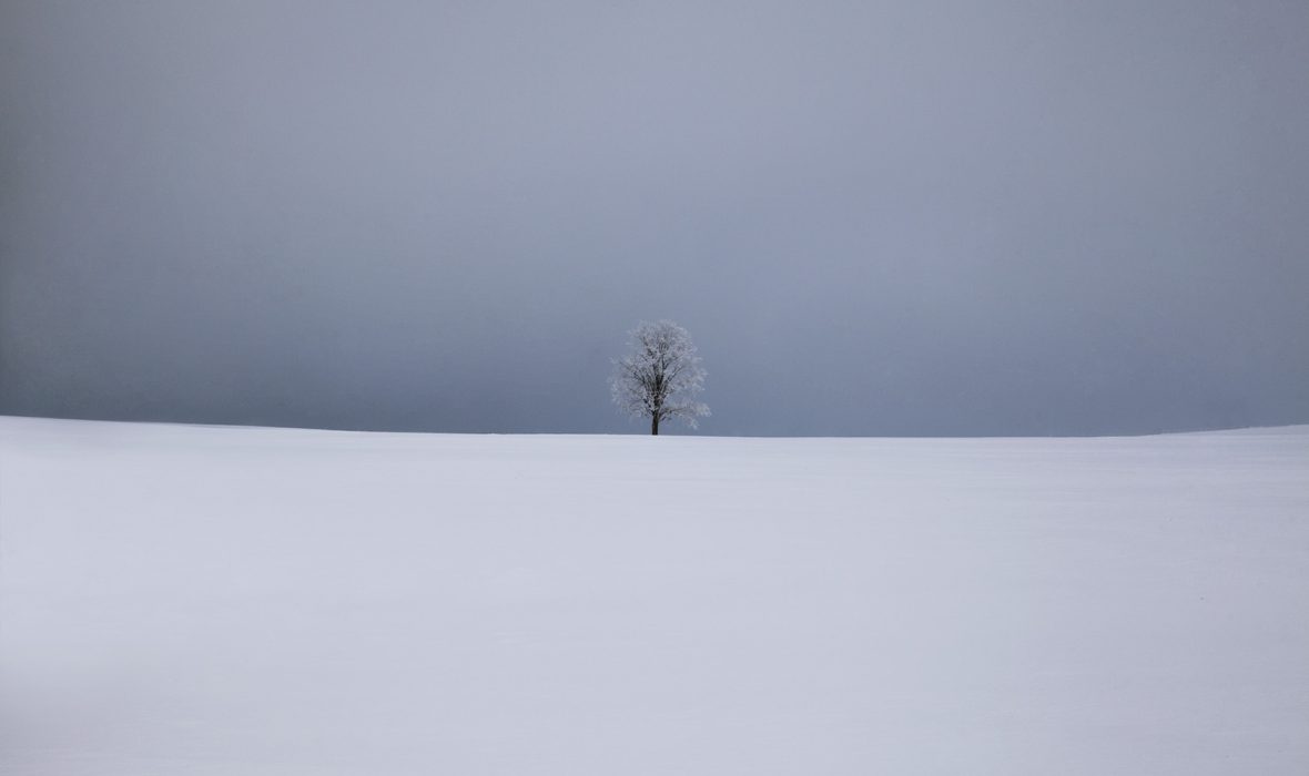 julia_laffaille_hautes_terres_cantal-2017