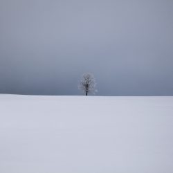 julia_laffaille_hautes_terres_cantal-2017