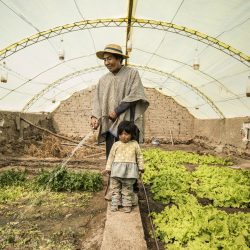 5087_4_16605_MarcoGarofalo_Italy_Professional_Environment_2020-1