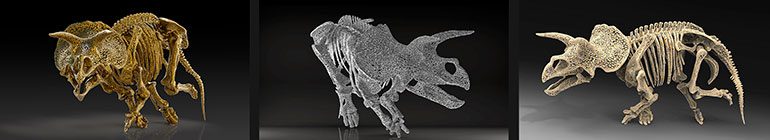 AMY_KARLE-triceratops_Smithsonian_3D