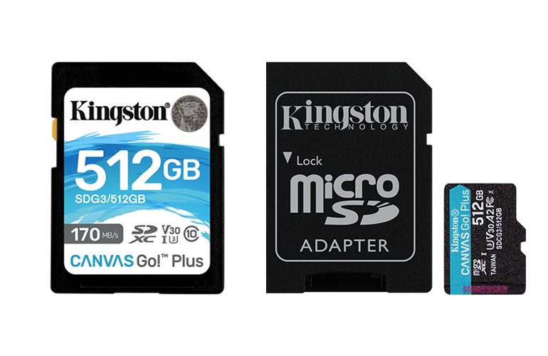 Kingston-canvas-go-plus