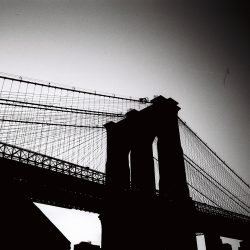 2020-03-12__US__dannah-gottlieb__fantomekino-bw-135-film__017